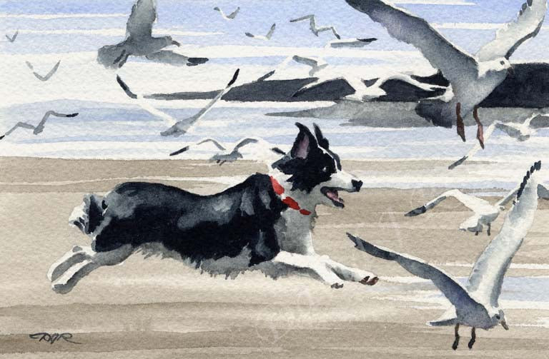 Border Collie Dog Wall Art Print Poster Picture Painting Room Decor
