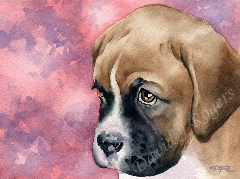 Boxer Dog Wall Art Print Poster Picture Painting Living Room Decor