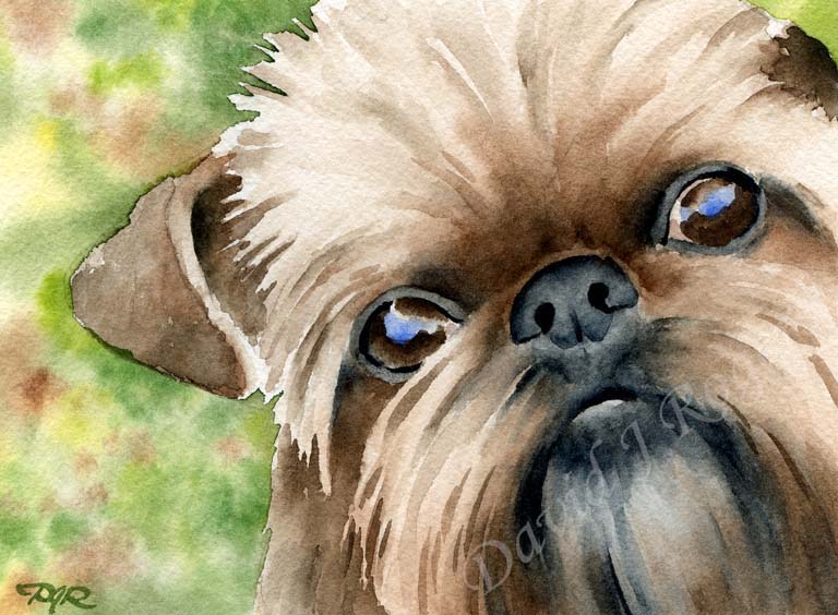 Griffon Terrier What Kind Of Dog Is In As Good As It Gets Verdell