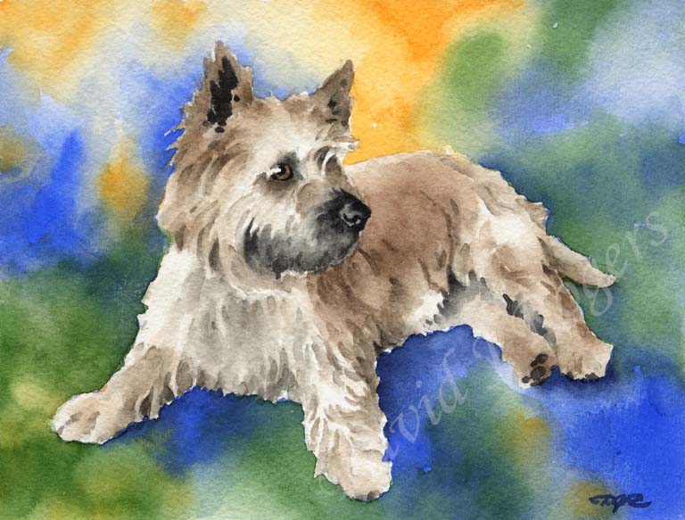A Cairn Terrier portrait print based on a David J Rogers original watercolor