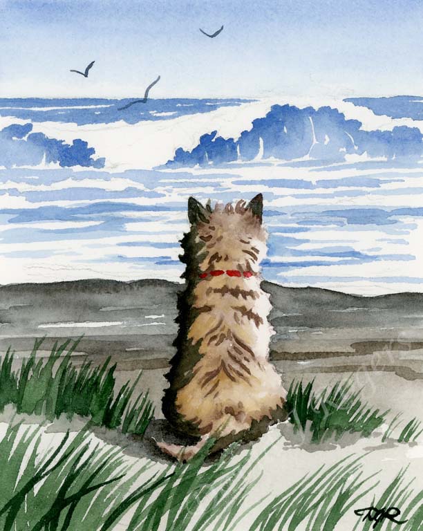 A Cairn Terrier beach print based on a David J Rogers original watercolor