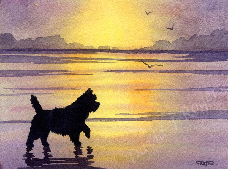 A Cairn Terrier sunset print based on a David J Rogers original watercolor
