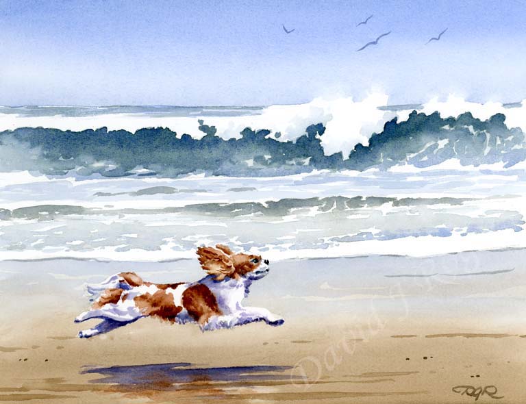 A Cavalier King Charles beach print based on a David J Rogers original watercolor