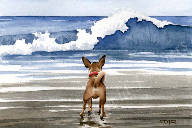 A Chihuahua beach print based on a David J Rogers original watercolor