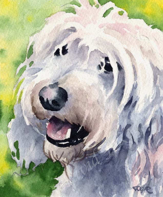 Cockapoo Pyrography Cockapoo Watercolor Art Paintings – Dog Prints Gallery
