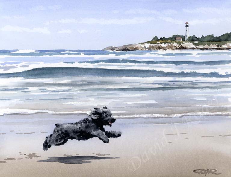 A Cockapoo beach print based on a David J Rogers original watercolor