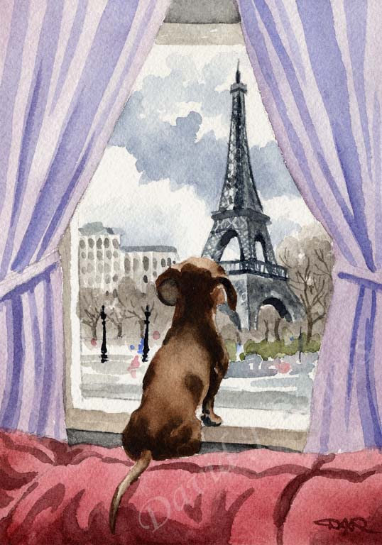 A Dachshund other print based on a David J Rogers original watercolor