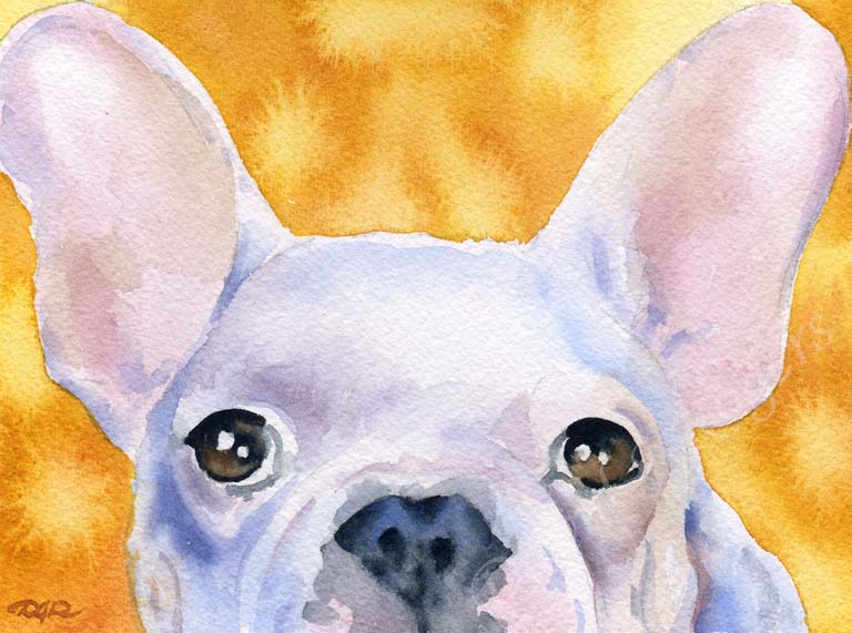 A French Bulldog portrait print based on a David J Rogers original watercolor