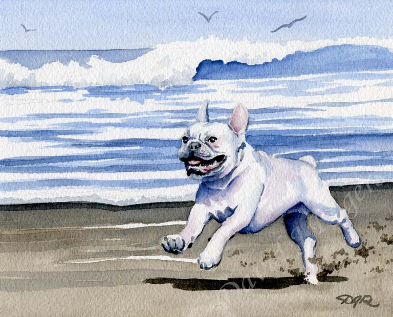A French Bulldog beach print based on a David J Rogers original watercolor