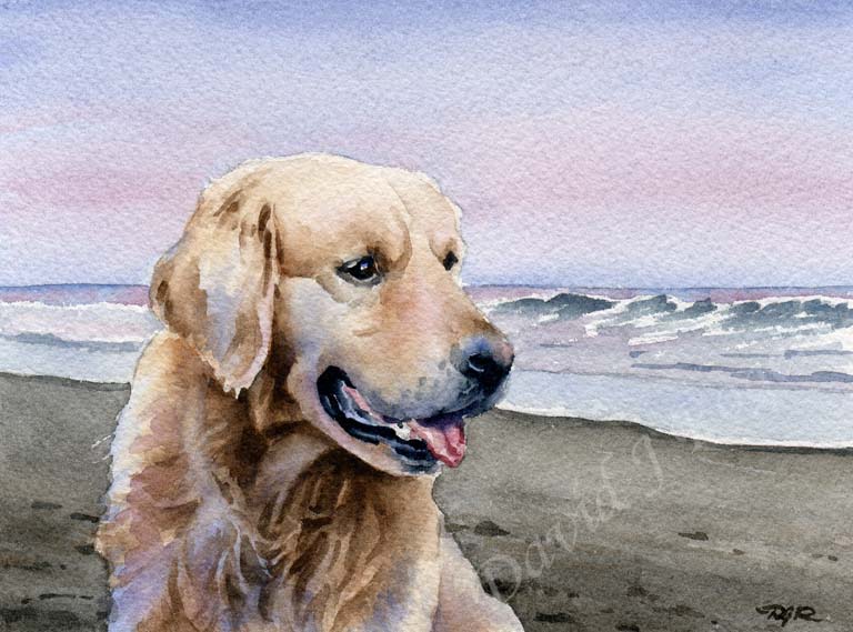 A Golden Retriever beach print based on a David J Rogers original watercolor