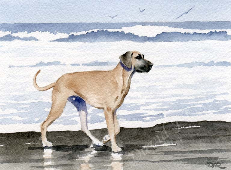 A Great Dane beach print based on a David J Rogers original watercolor