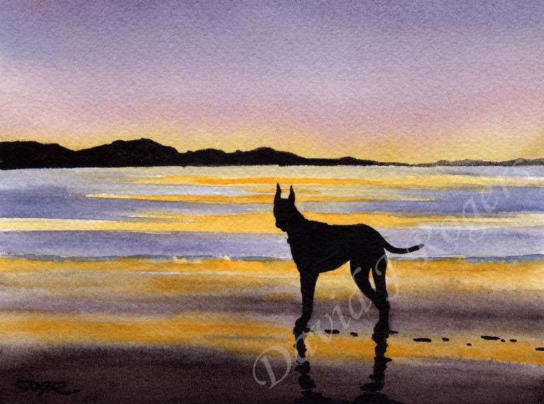 A Great Dane sunset print based on a David J Rogers original watercolor