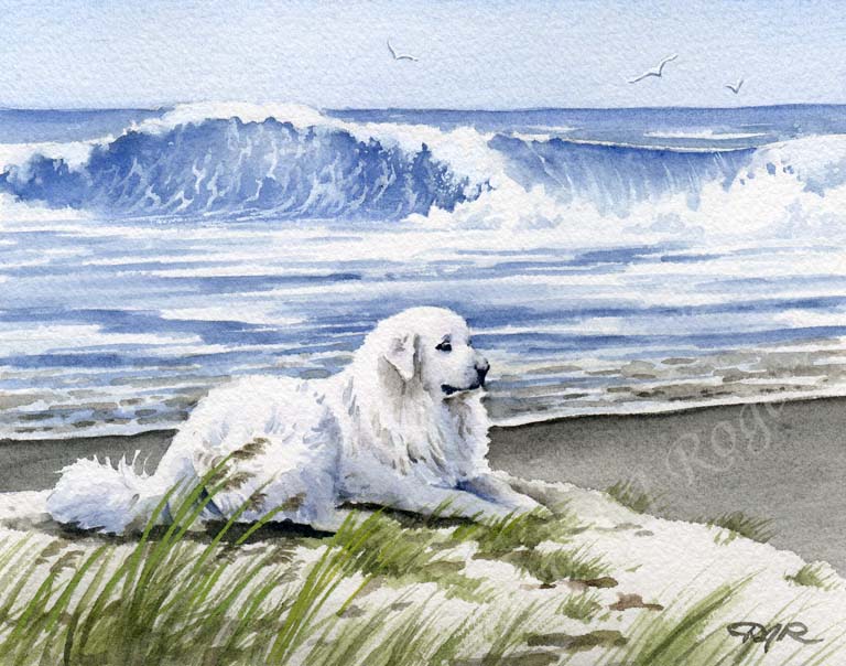 A Great Pyrenees beach print based on a David J Rogers original watercolor