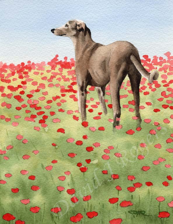 A Greyhound other print based on a David J Rogers original watercolor