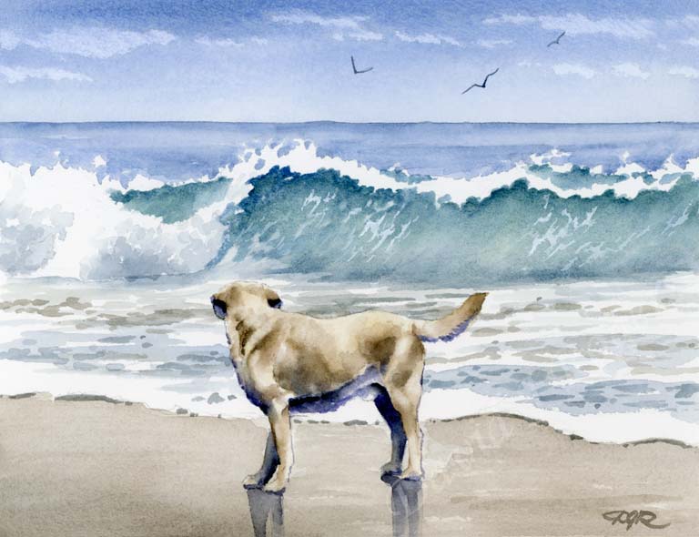 A Labrador Retriever beach print based on a David J Rogers original watercolor