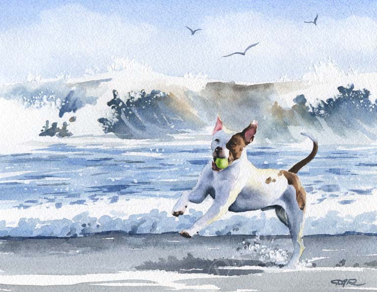 A Pit Bull beach print based on a David J Rogers original watercolor