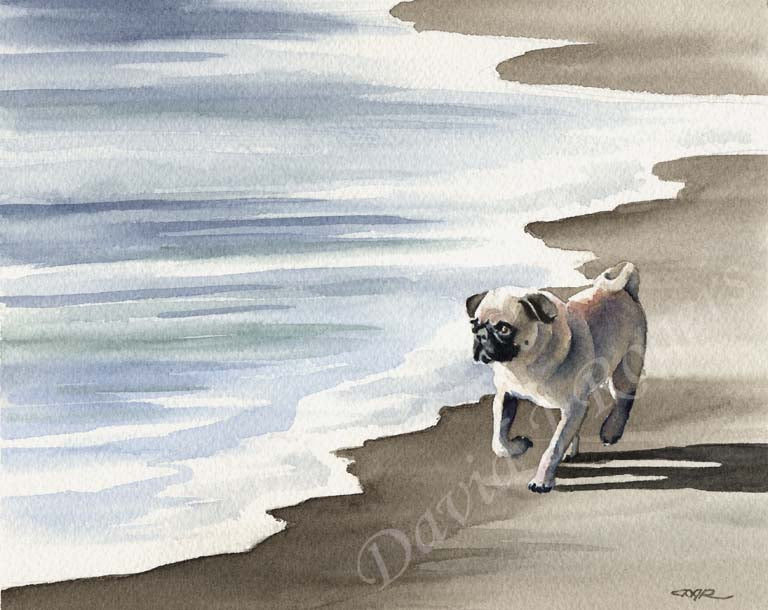 A Pug beach print based on a David J Rogers original watercolor