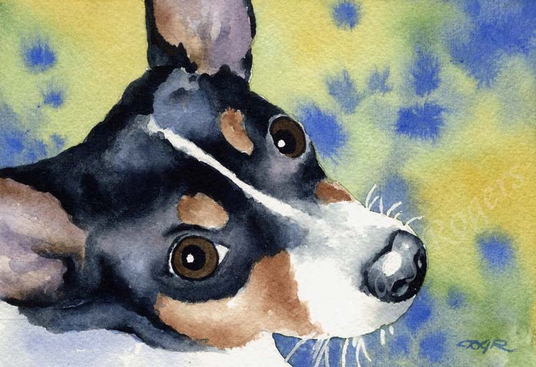A Rat Terrier portrait print based on a David J Rogers original watercolor