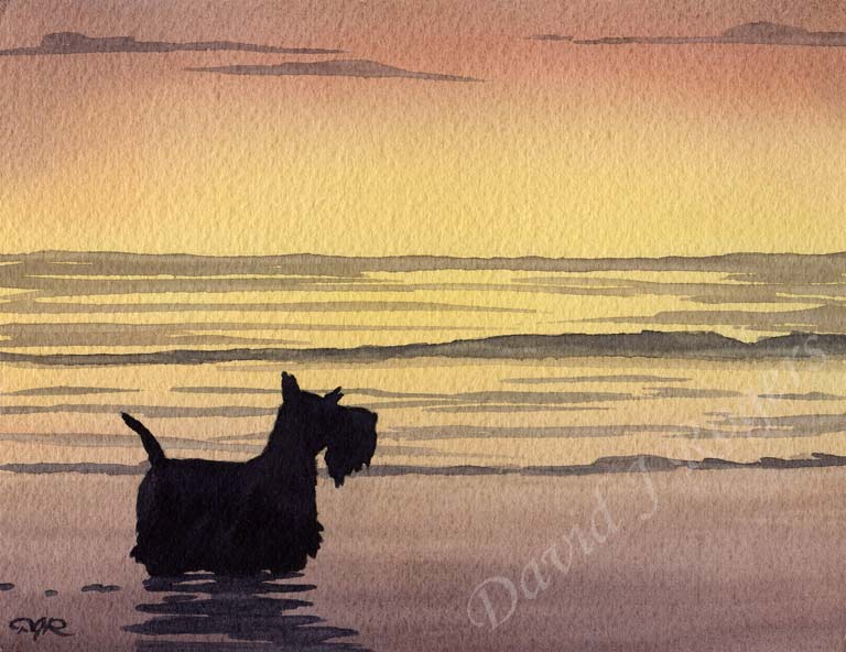 A Scottish Terrier sunset print based on a David J Rogers original watercolor