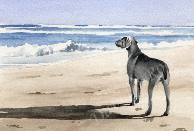 A Weimaraner beach print based on a David J Rogers original watercolor