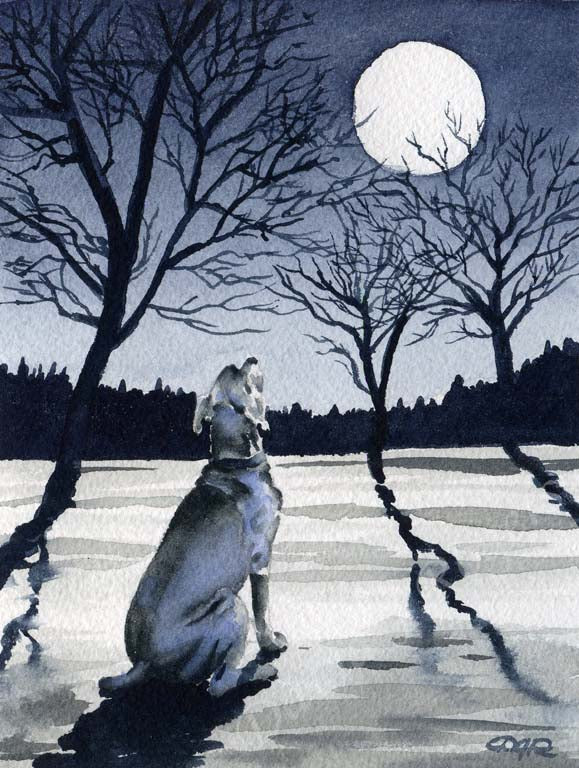 A Weimaraner other print based on a David J Rogers original watercolor