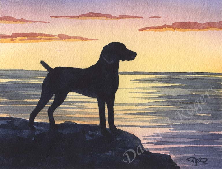 A Weimaraner sunset print based on a David J Rogers original watercolor