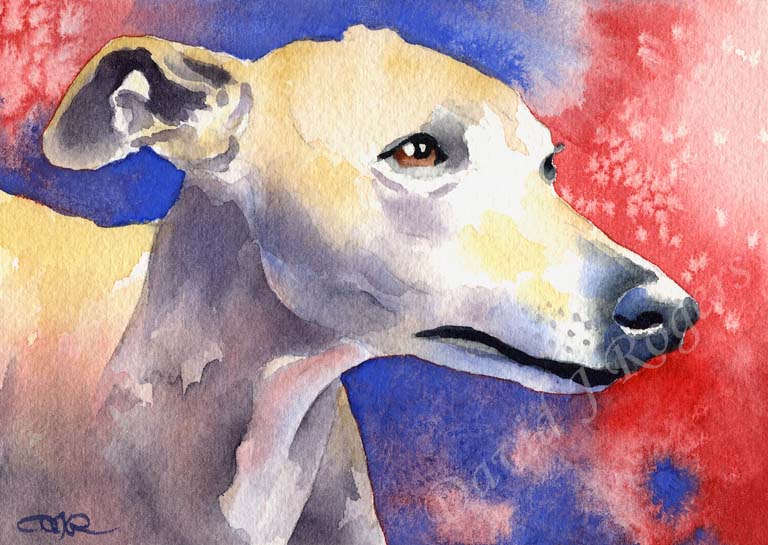 A Whippet portrait print based on a David J Rogers original watercolor