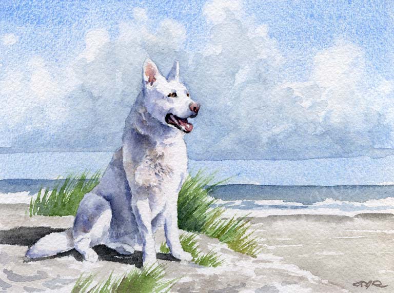 A White German Shepherd beach print based on a David J Rogers original watercolor