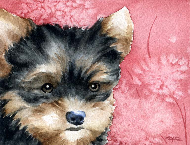 A Yorkshire Terrier portrait print based on a David J Rogers original watercolor