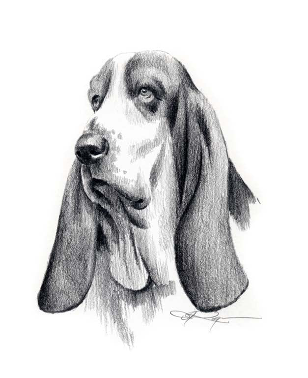 Basset Hound Dog Wall Art Print Poster Picture Painting Living Decor