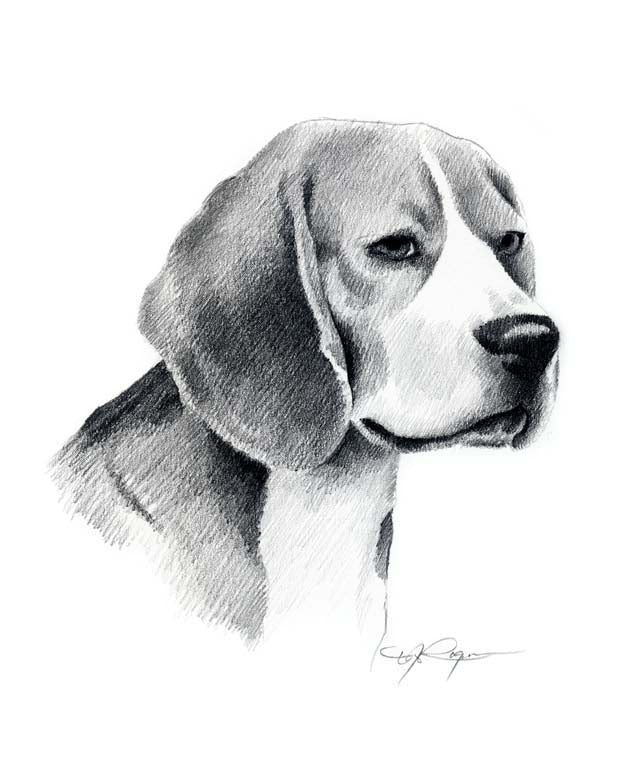 Beagle Dog Wall Art Print Poster Picture Painting Living Room Decor