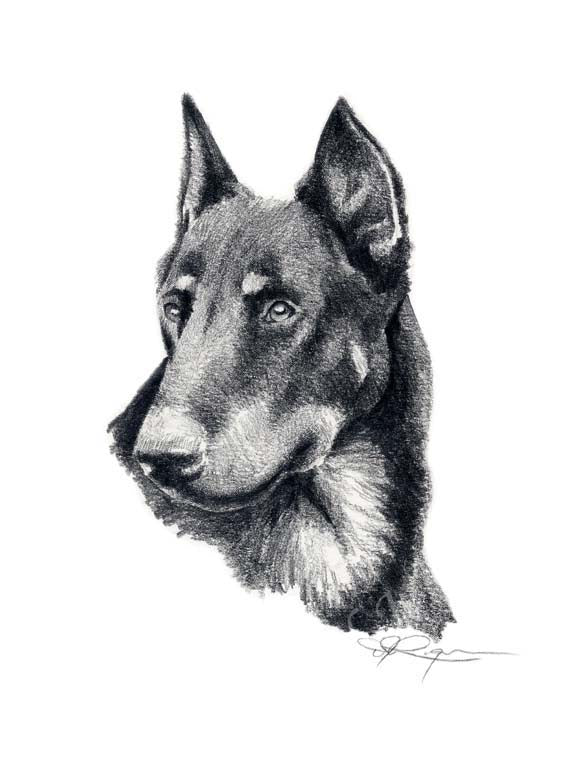 Beauceron Dog Wall Art Print Poster Picture Painting Living Room Decor
