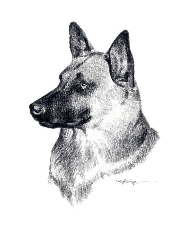 Belgian Malinois Dog Wall Art Print Poster Picture Painting Room Decor