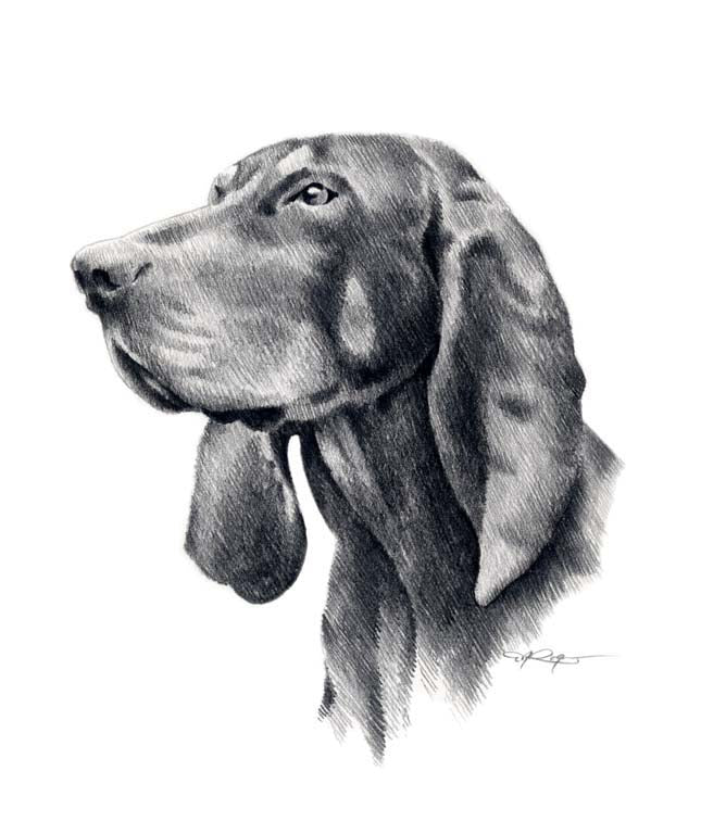 Black Tan Coonhound Dog Wall Art Print Poster Picture Painting Decor