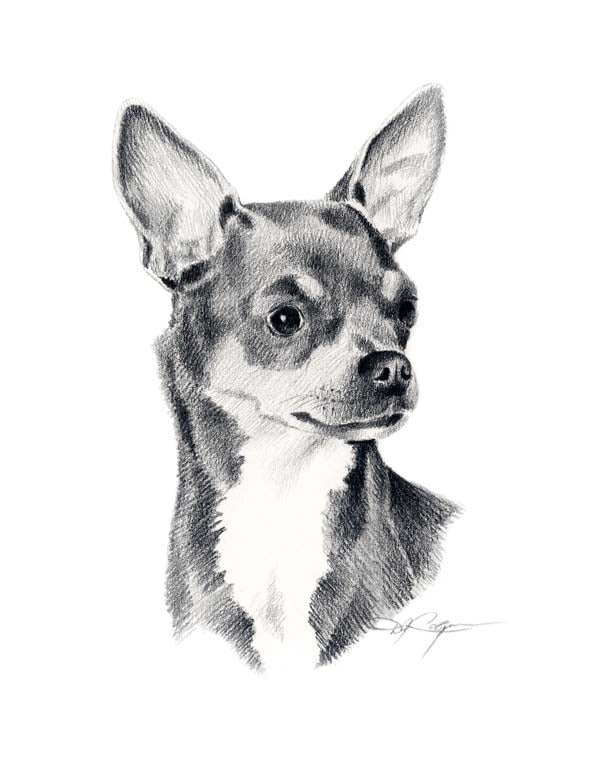 A Chihuahua portrait print based on a David J Rogers original watercolor
