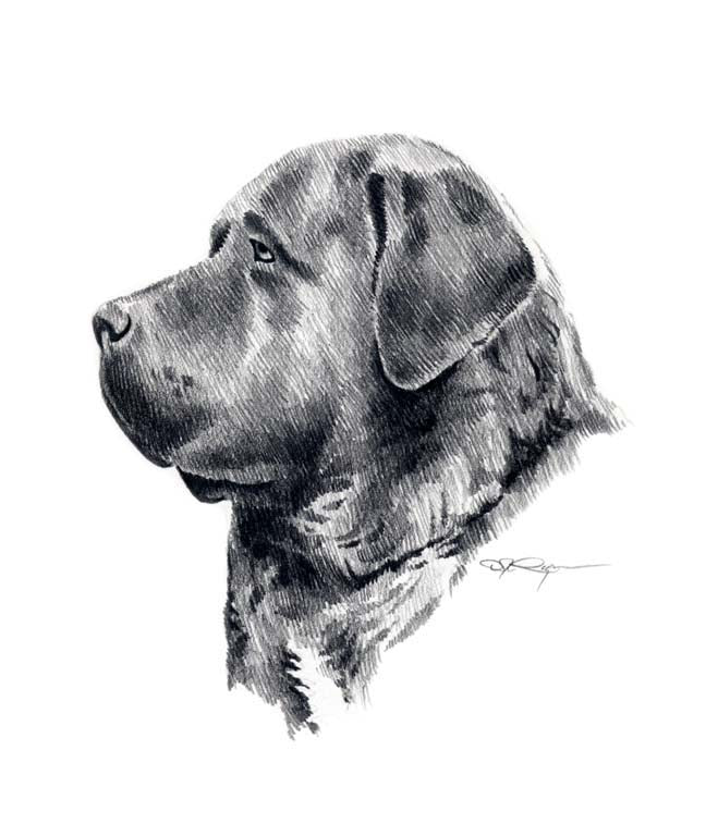 A English Mastiff portrait print based on a David J Rogers original watercolor