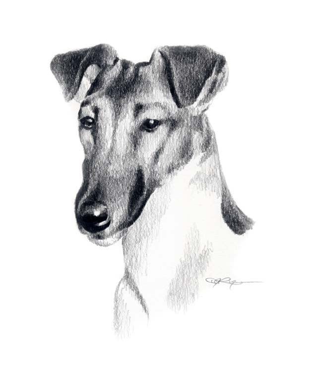 A Fox Terrier portrait print based on a David J Rogers original watercolor