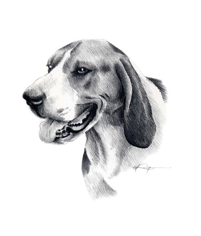 A Treeing Walker Coonhound 0 print based on a David J Rogers original watercolor