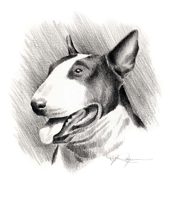Bull Terrier Dog Wall Art Print Poster Picture Painting Room Decor