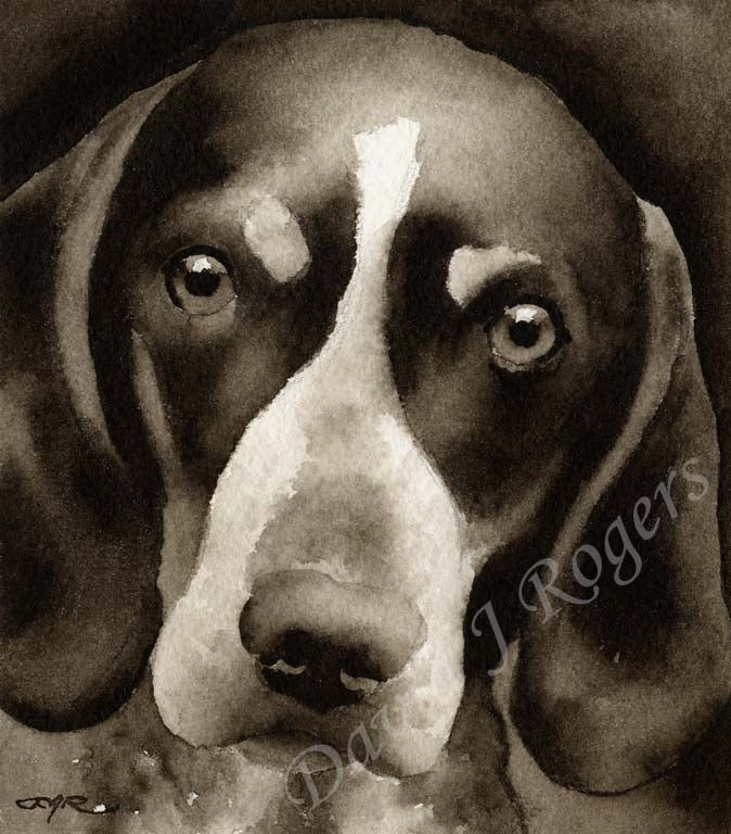 Bluetick Coonhound Dog Wall Art Print Poster Picture Painting Decor