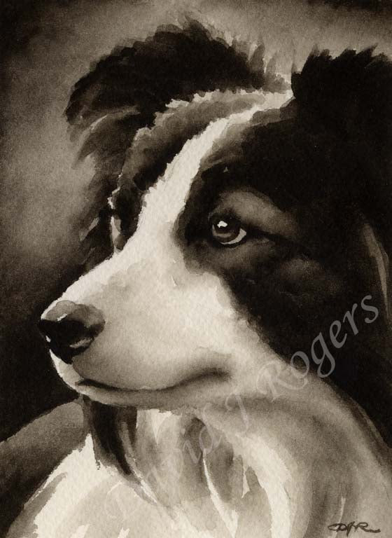 Border Collie Dog Wall Art Print Poster Picture Painting Room Decor