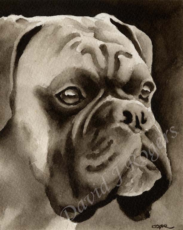 Boxer Dog Wall Art Print Poster Picture Painting Living Room Decor