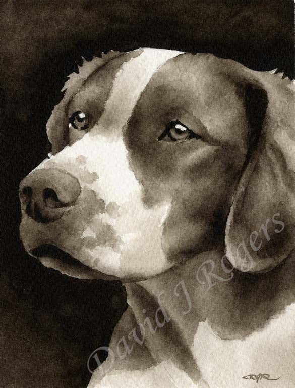 Brittany Dog Wall Art Print Poster Picture Painting Living Room Decor