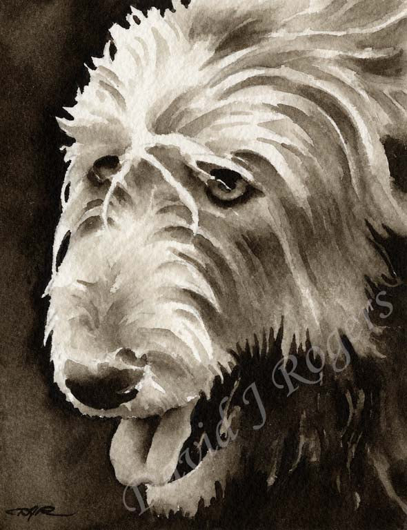 Old English Sheepdog Watercolor Art Print by Artist DJ Rogers
