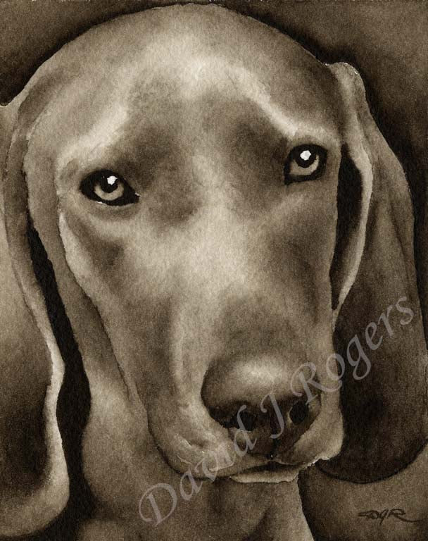 A Redbone Coonhound portrait print based on a David J Rogers original watercolor