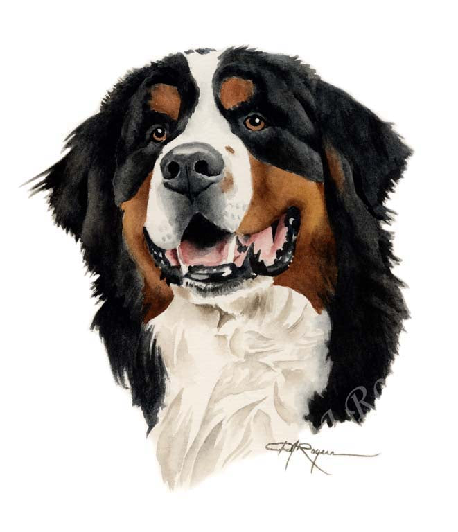Bernese Mountain Dog Wall Art Print Poster Picture Painting Room Decor