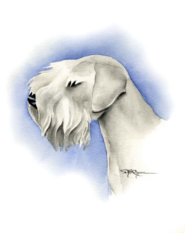 A Sealyham Terrier 0 print based on a David J Rogers original watercolor