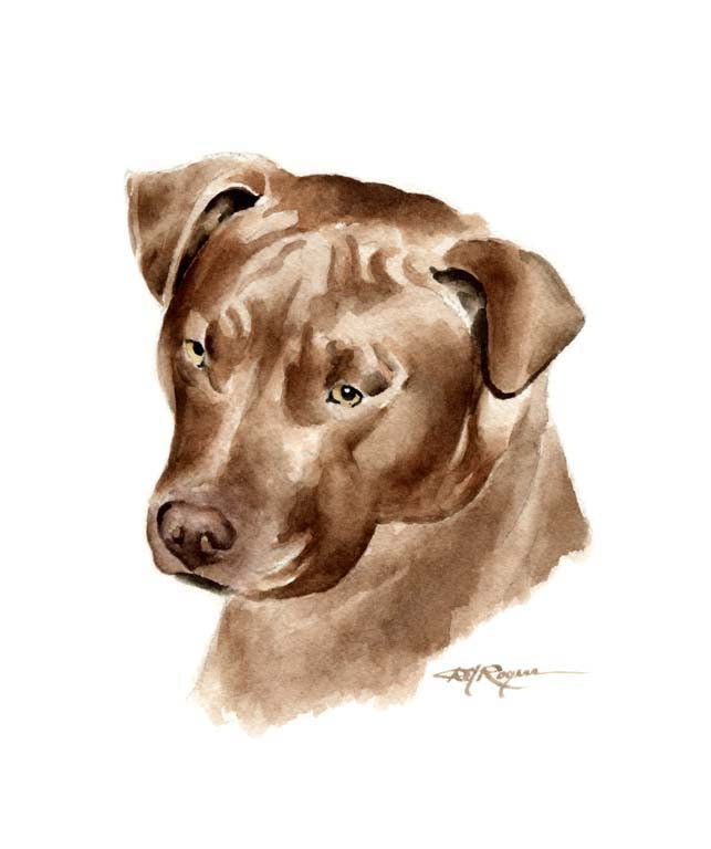 American Pit Bull Terrier Dog Wall Art Print Poster Picture Painting