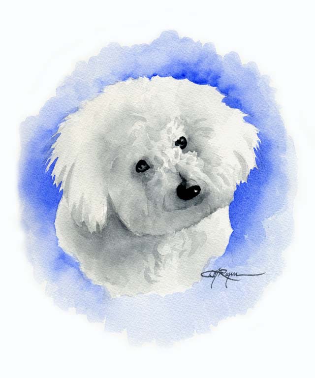 Bichon Frise Dog Wall Art Print Poster Picture Painting Room Decor