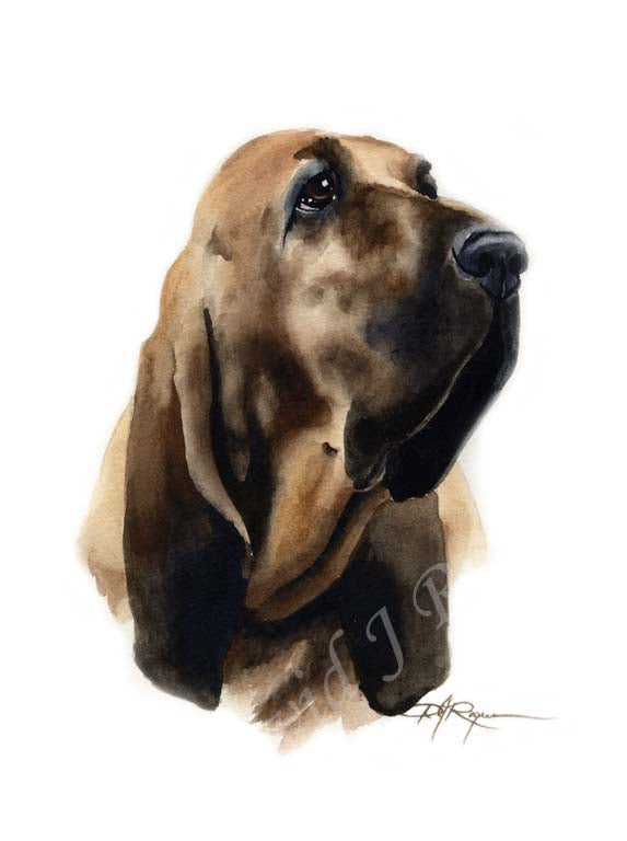 Bloodhound Puppy Dog Wall Art Print Poster Picture Painting Room Decor